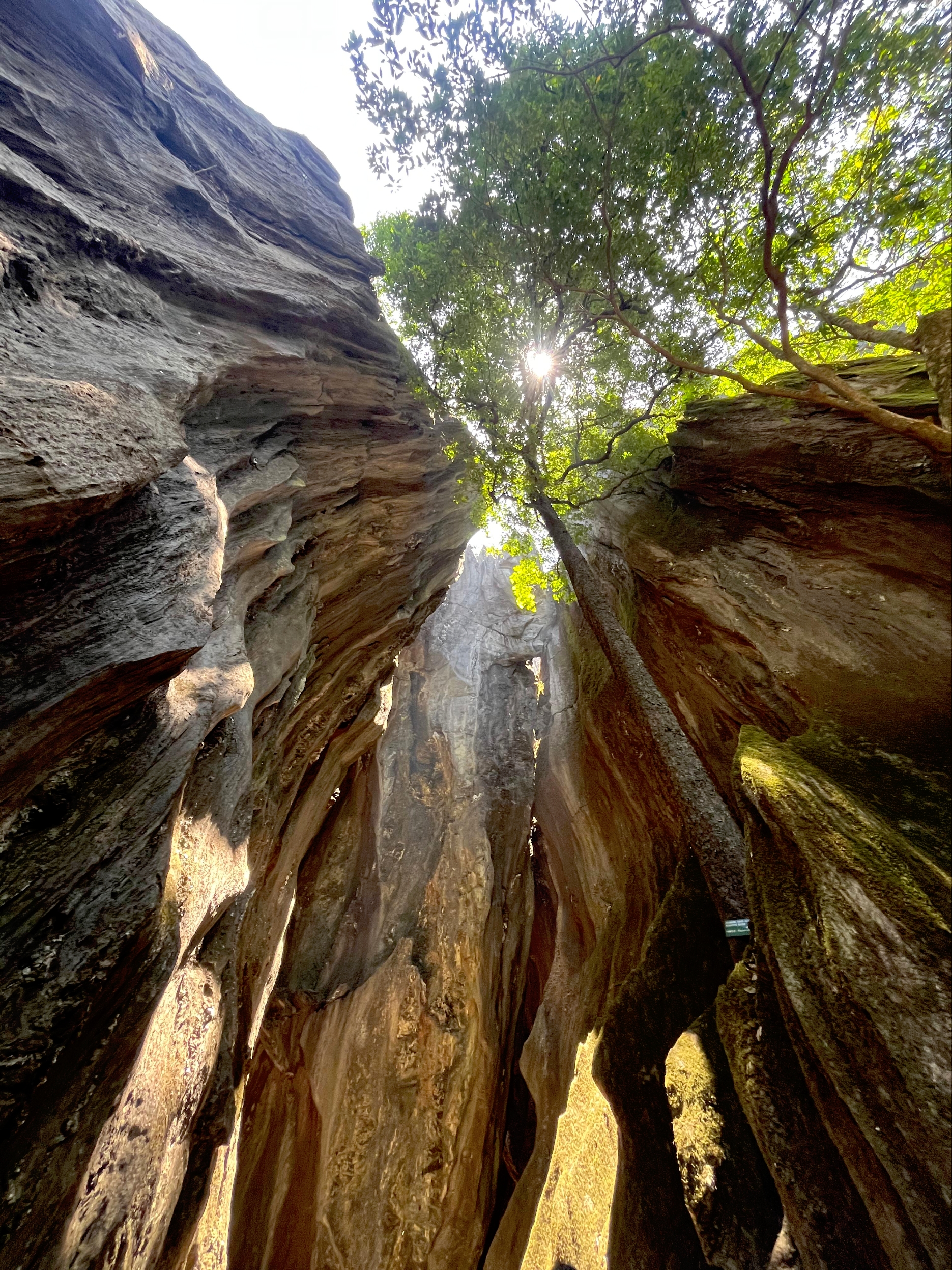 yana caves